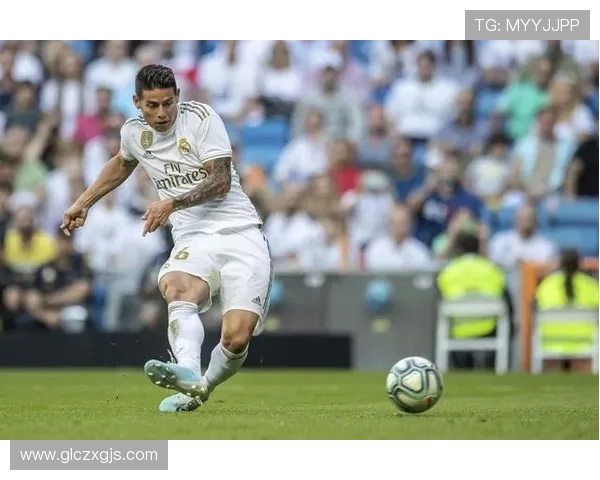 加拿足球明星阵容揭秘盘点当今最具影响力的球员与他们的辉煌成就